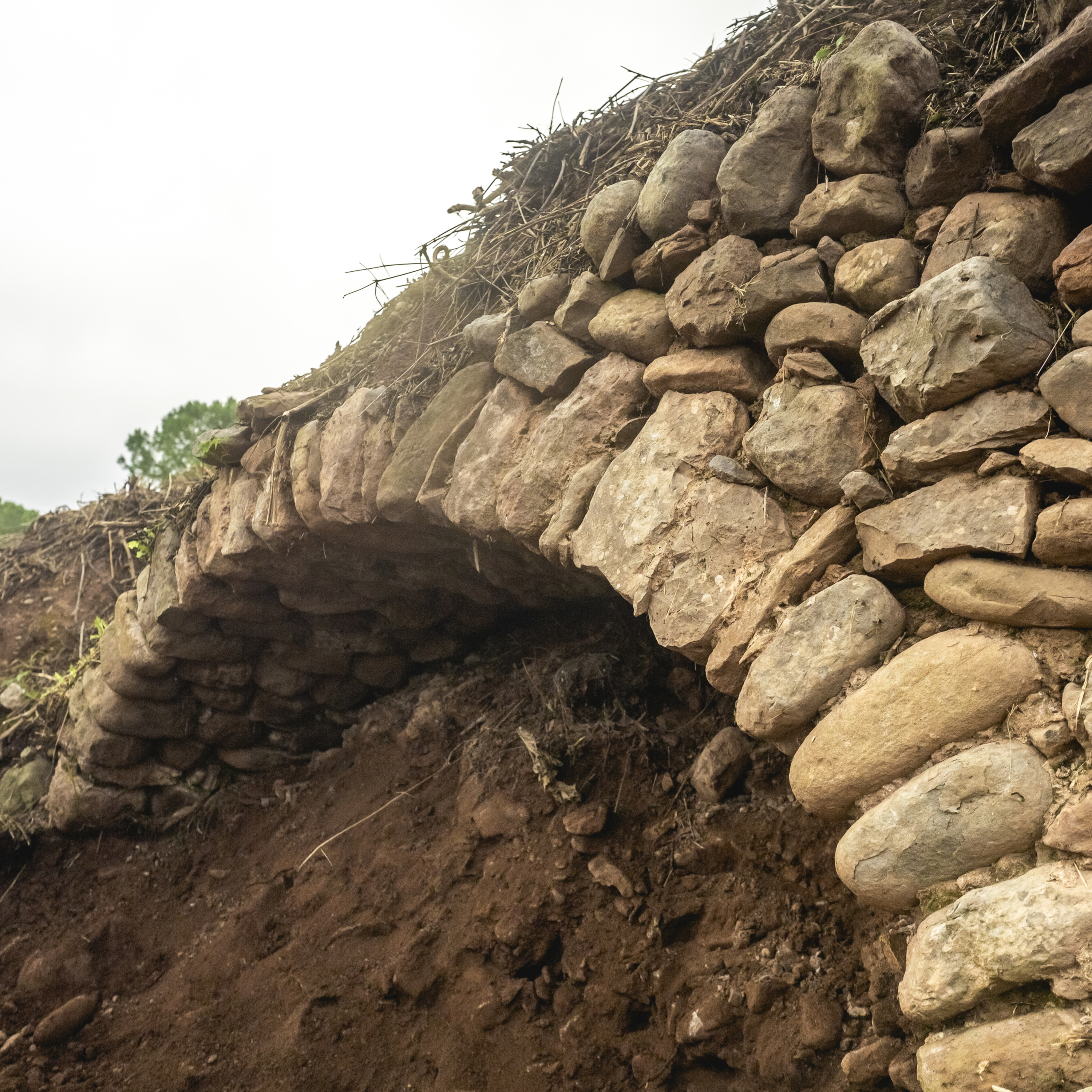 Ruta Matacans - Pedra Seca d’Artés i tast de vins