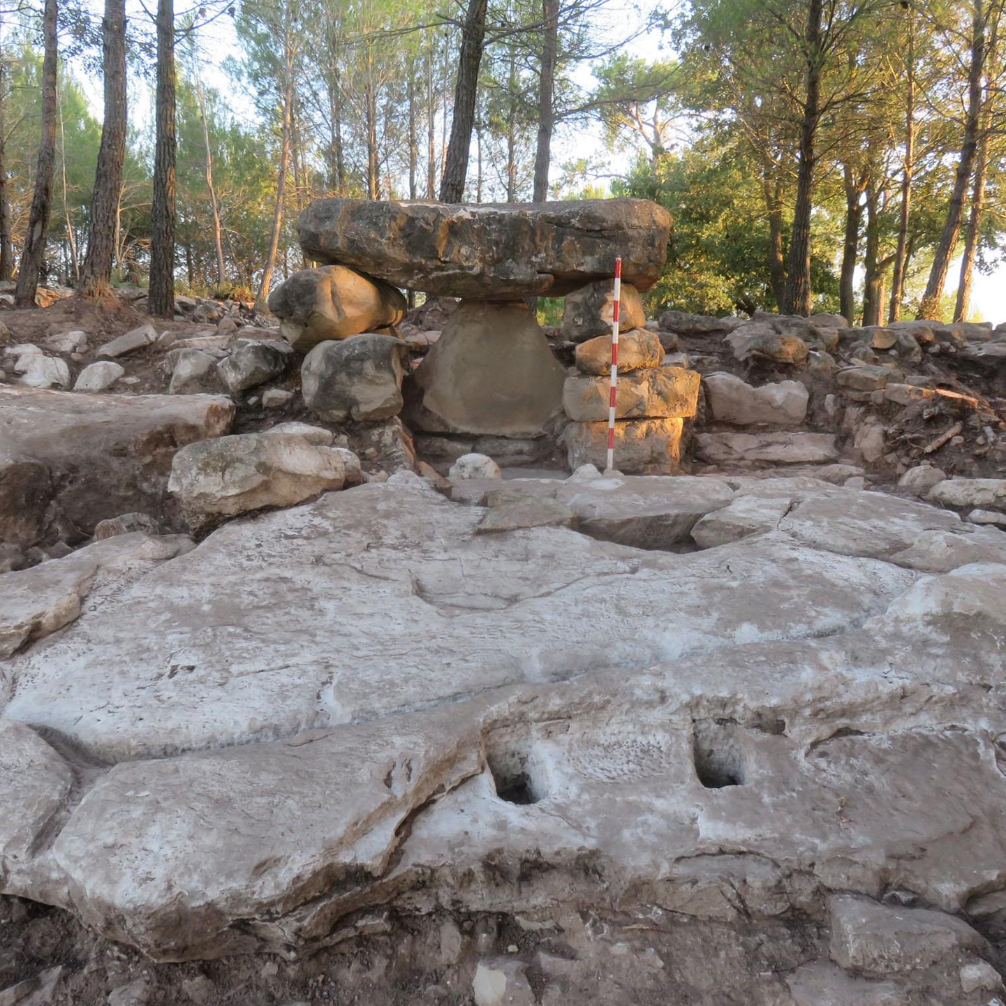 FONOLLOSA · Trull vinícola medieval del Pla de Mallorca