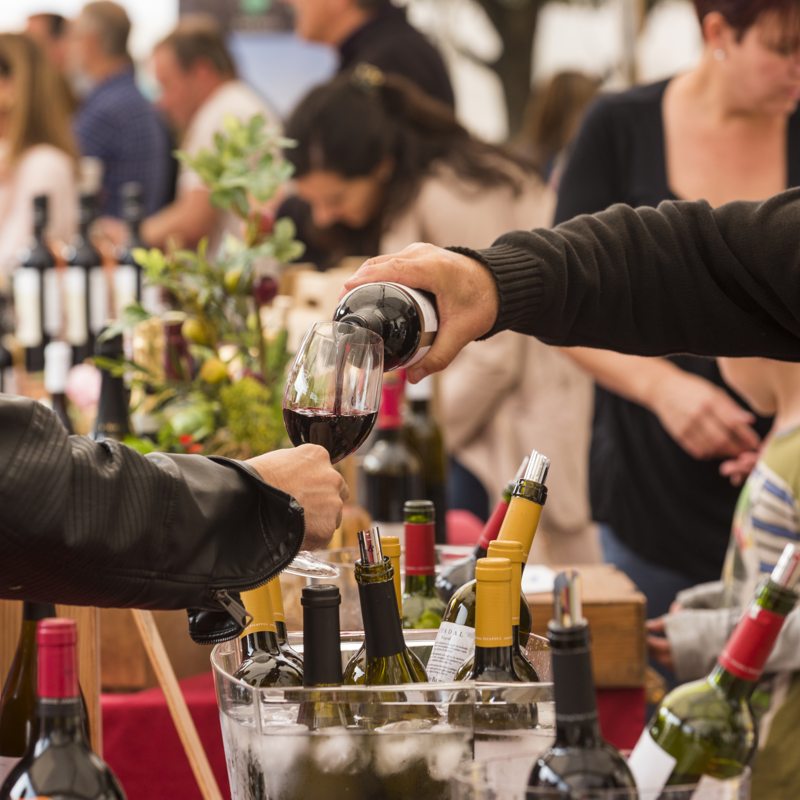 Mostra de vins de la D.O. Pla de Bages i Cava d’Artés