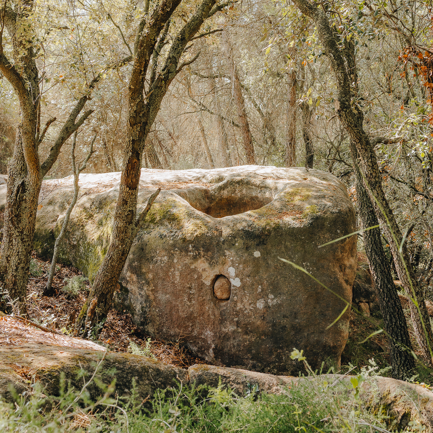 NAVÀS · Les pedres que parlen al Racó de Sant Cugat