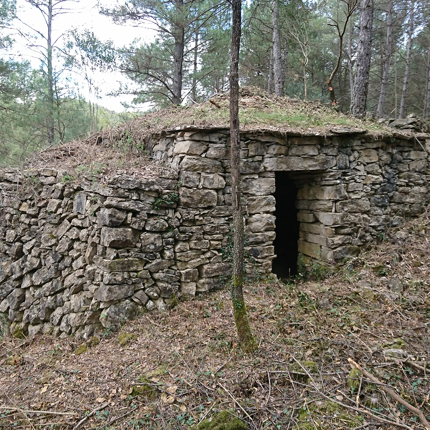 SÚRIA · Pedra i seca i vi de Súria. Ruta a la Vinya del Lari